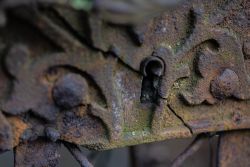 HD Rost
